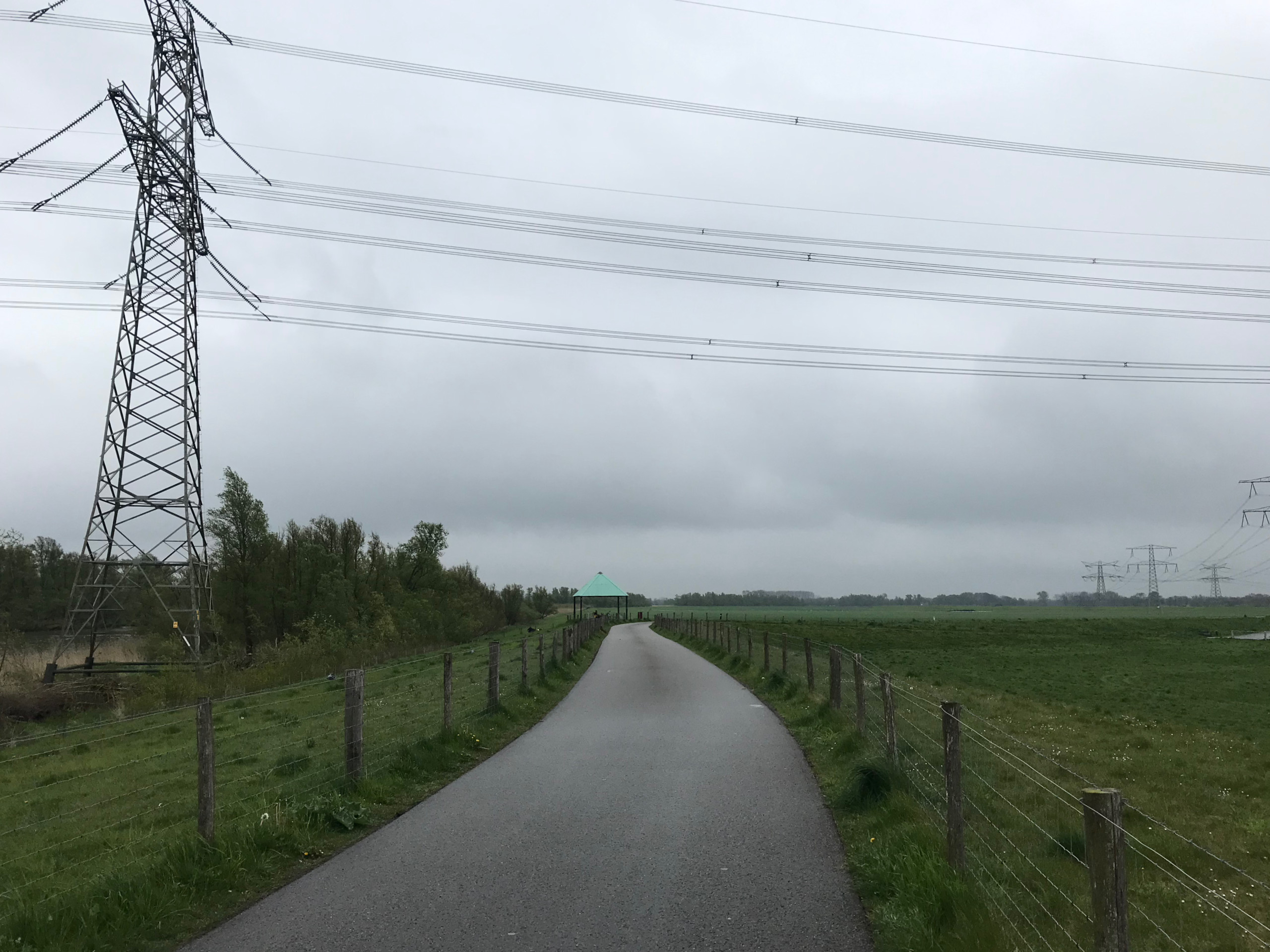 On the Wantijdijk on the edge of Dordrecht.