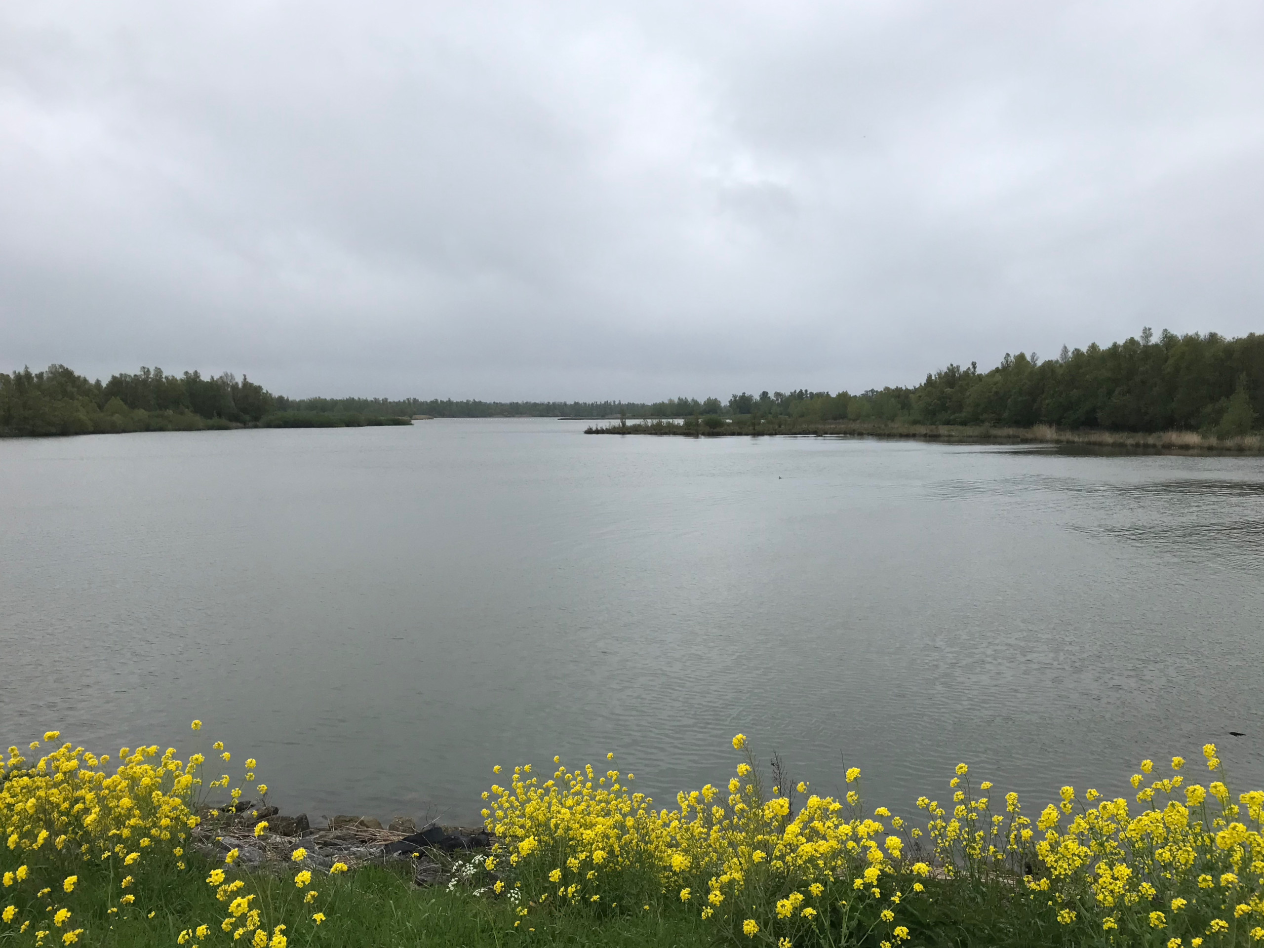 Looking south along the Gat van Lijnoorden.