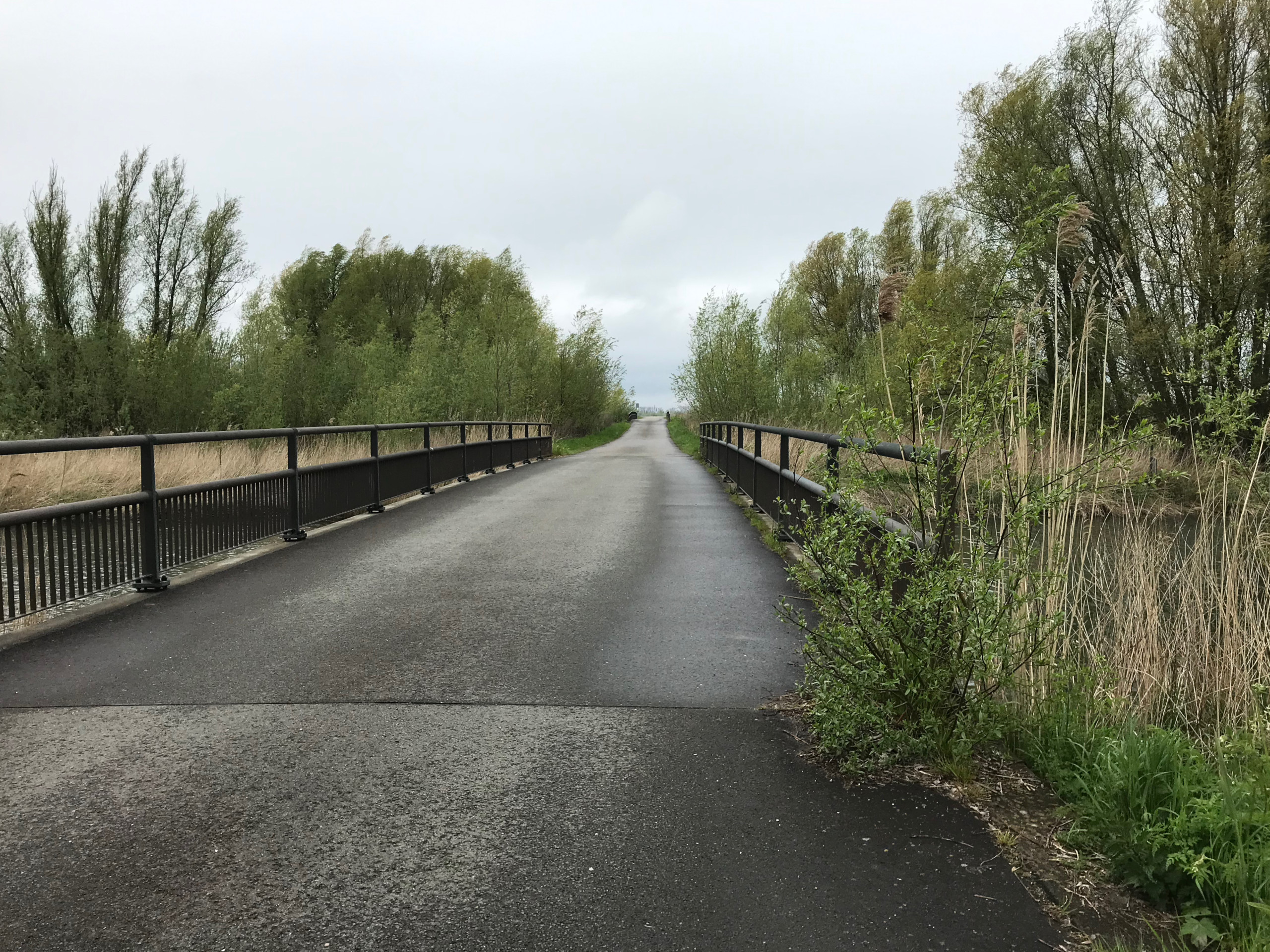 I continued on the Witboomkil.