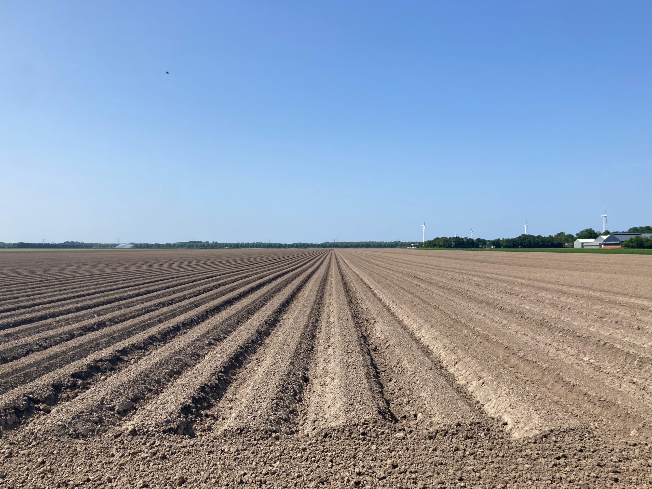 Mr. Pacman ate this very special tasty tile. Crunchy!