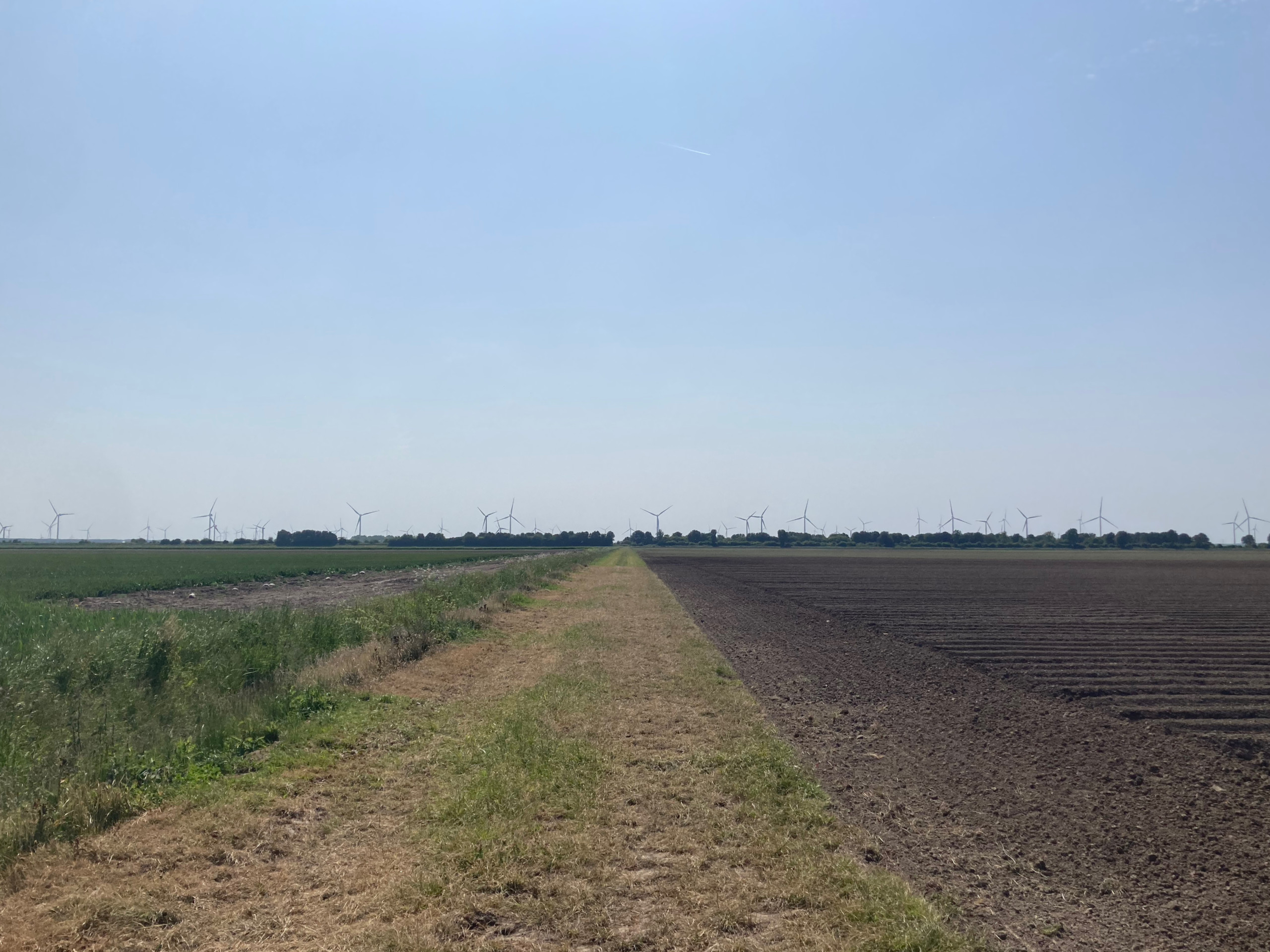 ...and this one too!