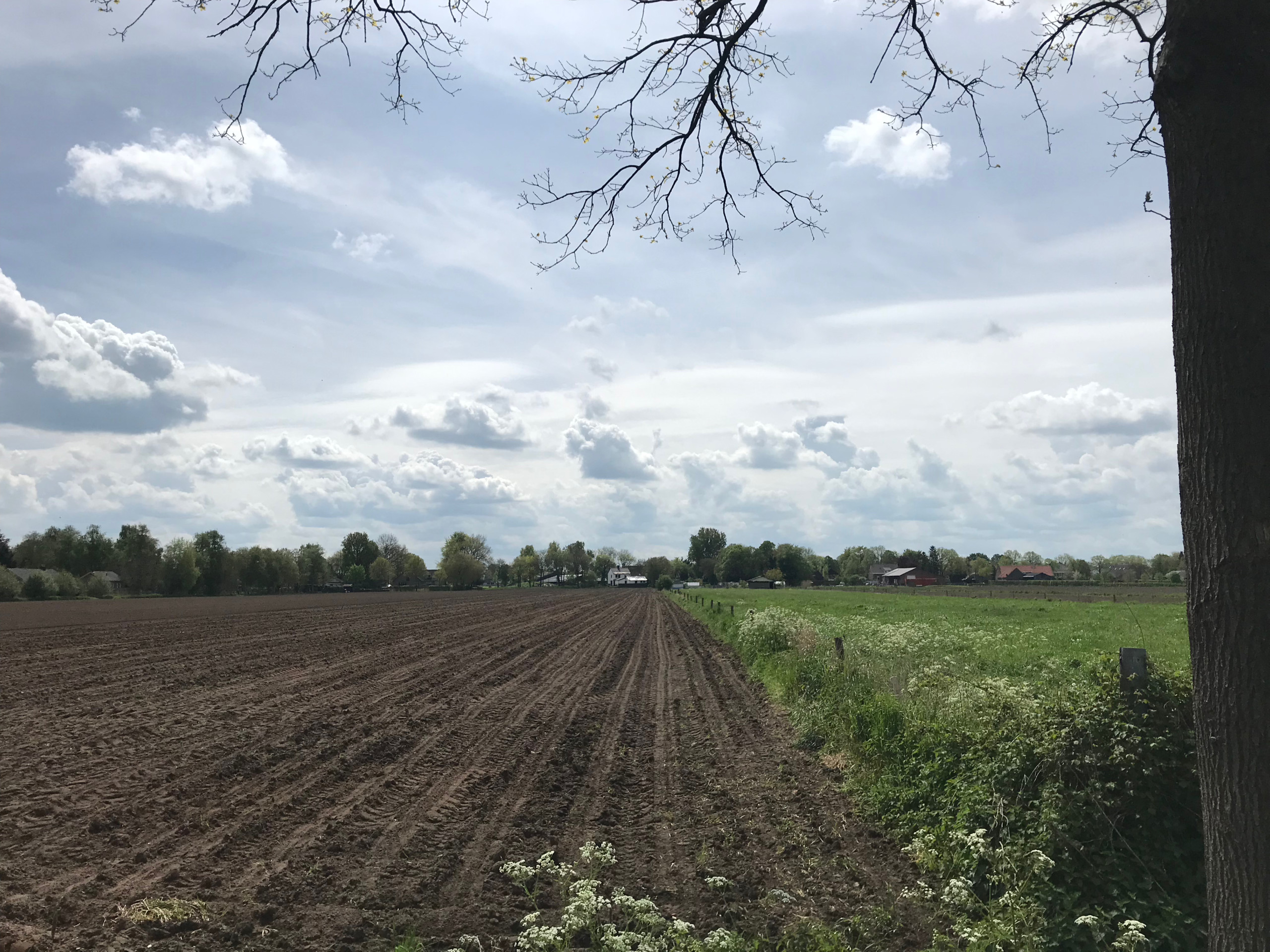 Looking south  on the Hemelrijkstraat east of Oss.