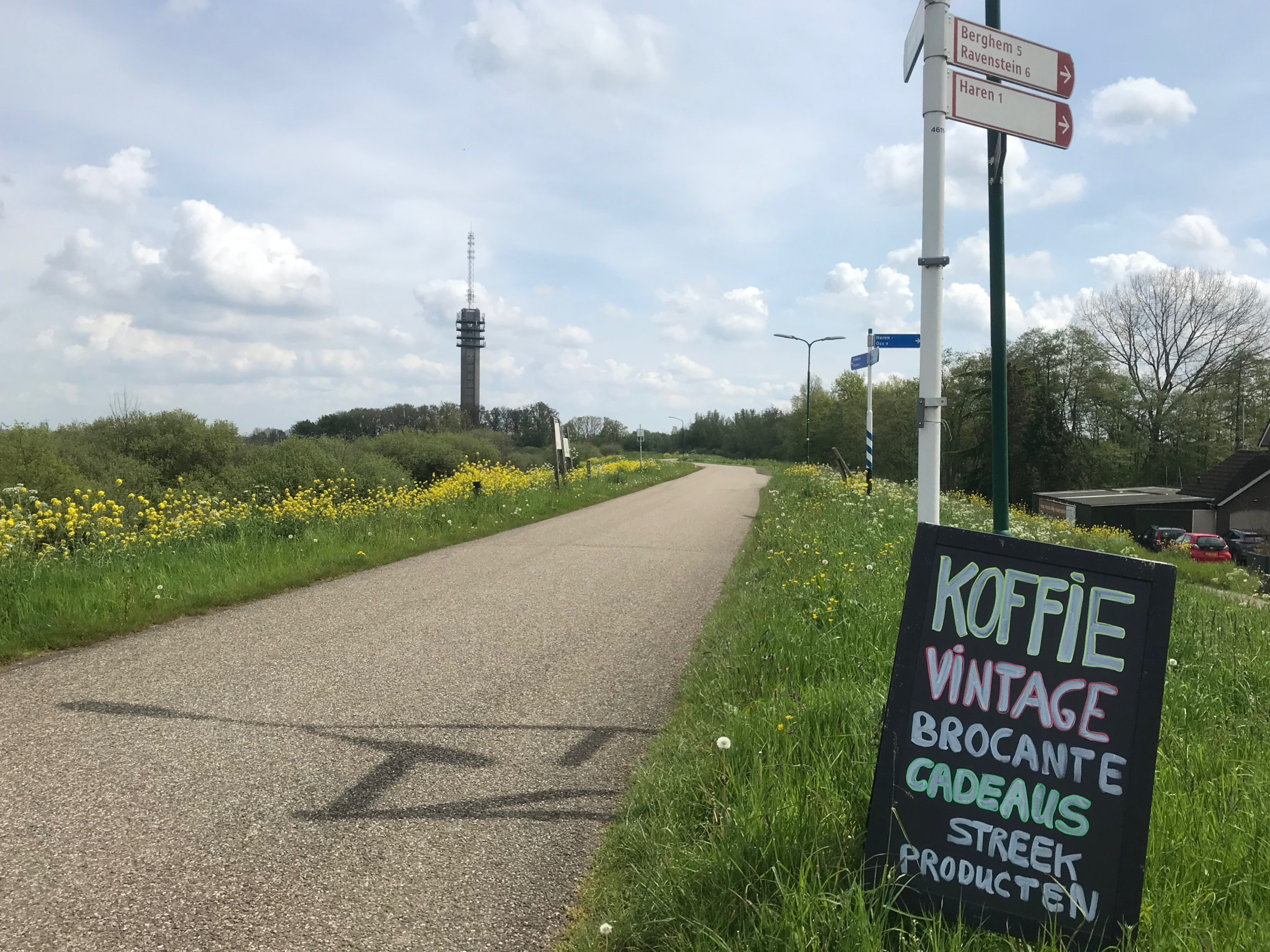 Looking along the Ravensteinsedijk at the Haren transmission tower.
