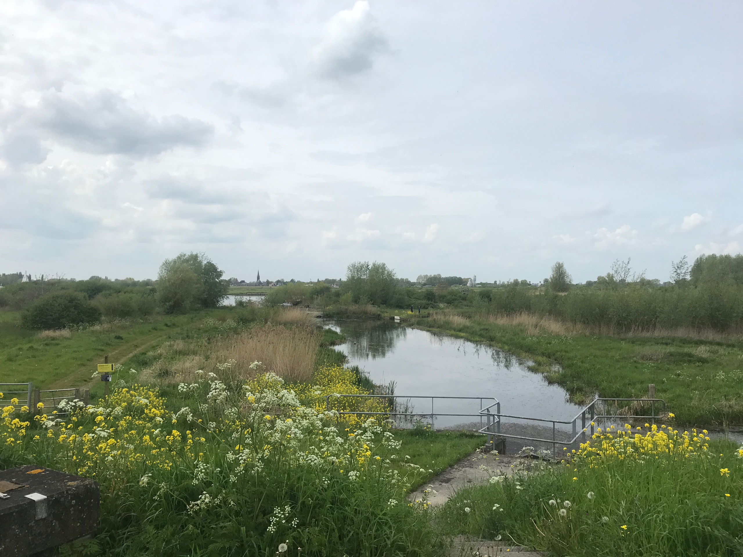 The view over the Oude Maas from my lunch spot.