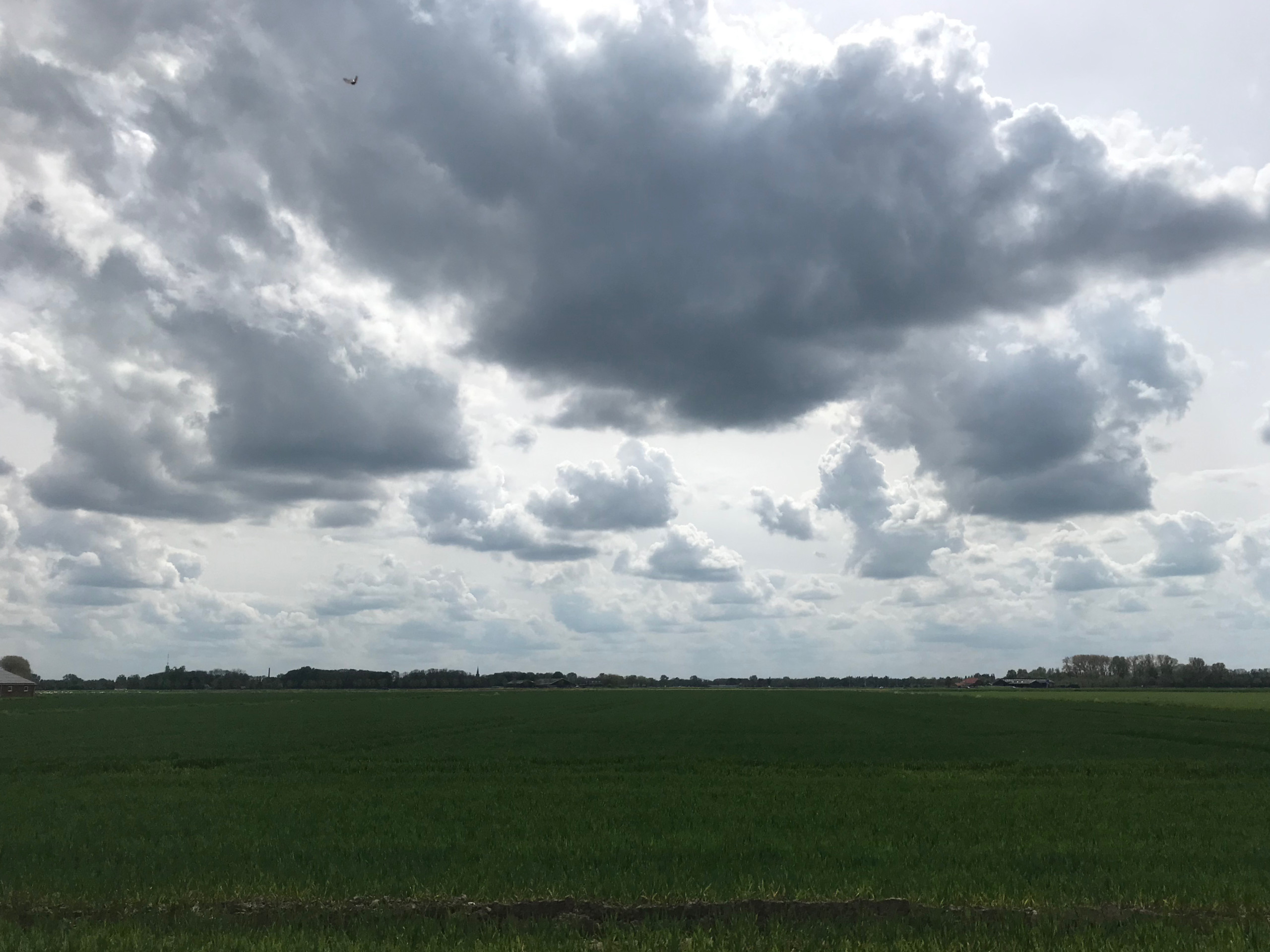 The fields between Horssen and Appeltern.