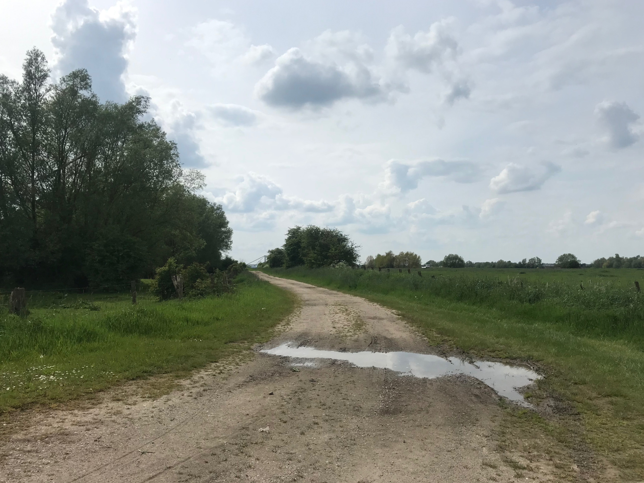A little excursion into the floodplain to collect some tiles.