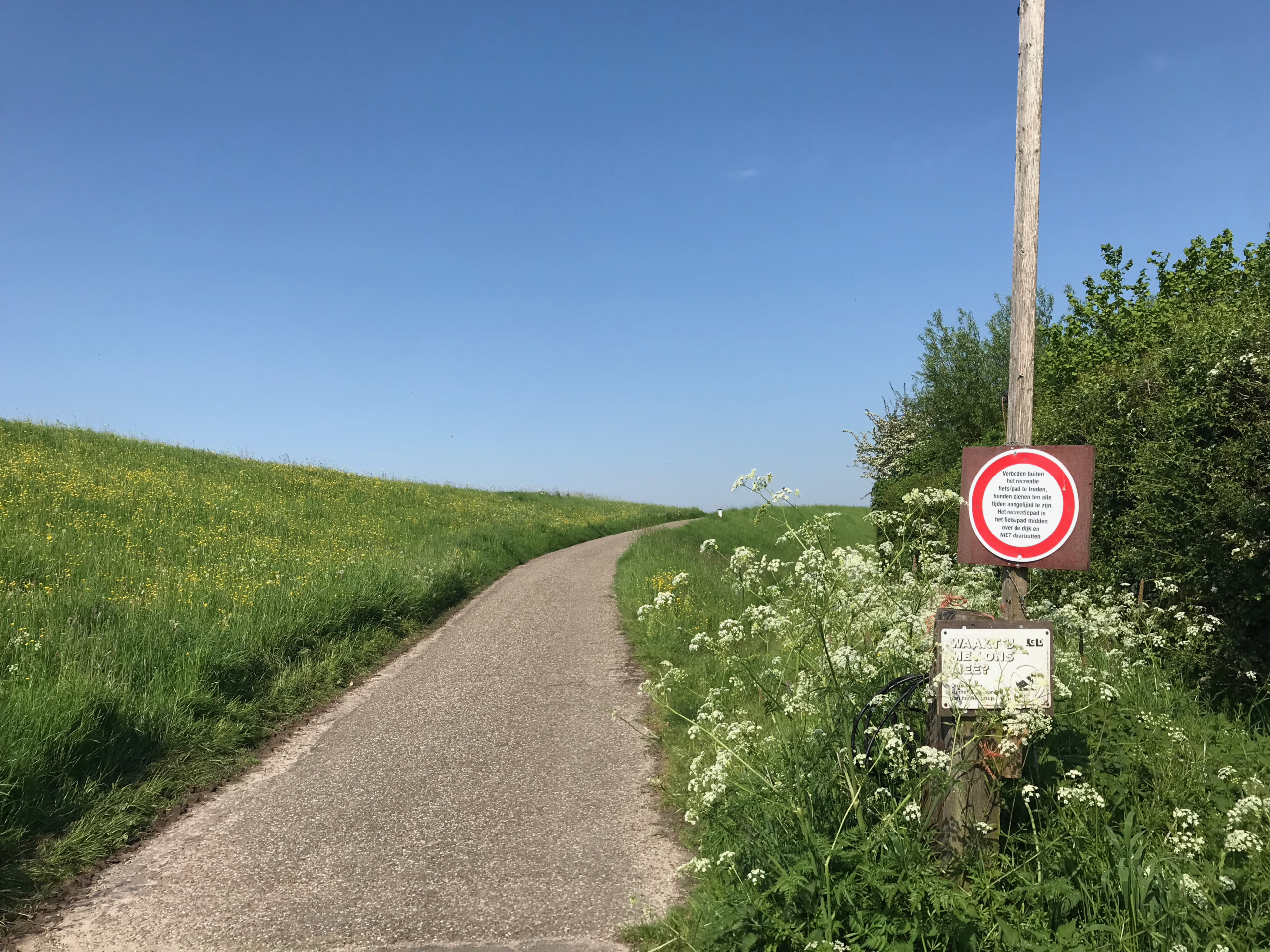 Taking the road up the dyke along the IJssel.