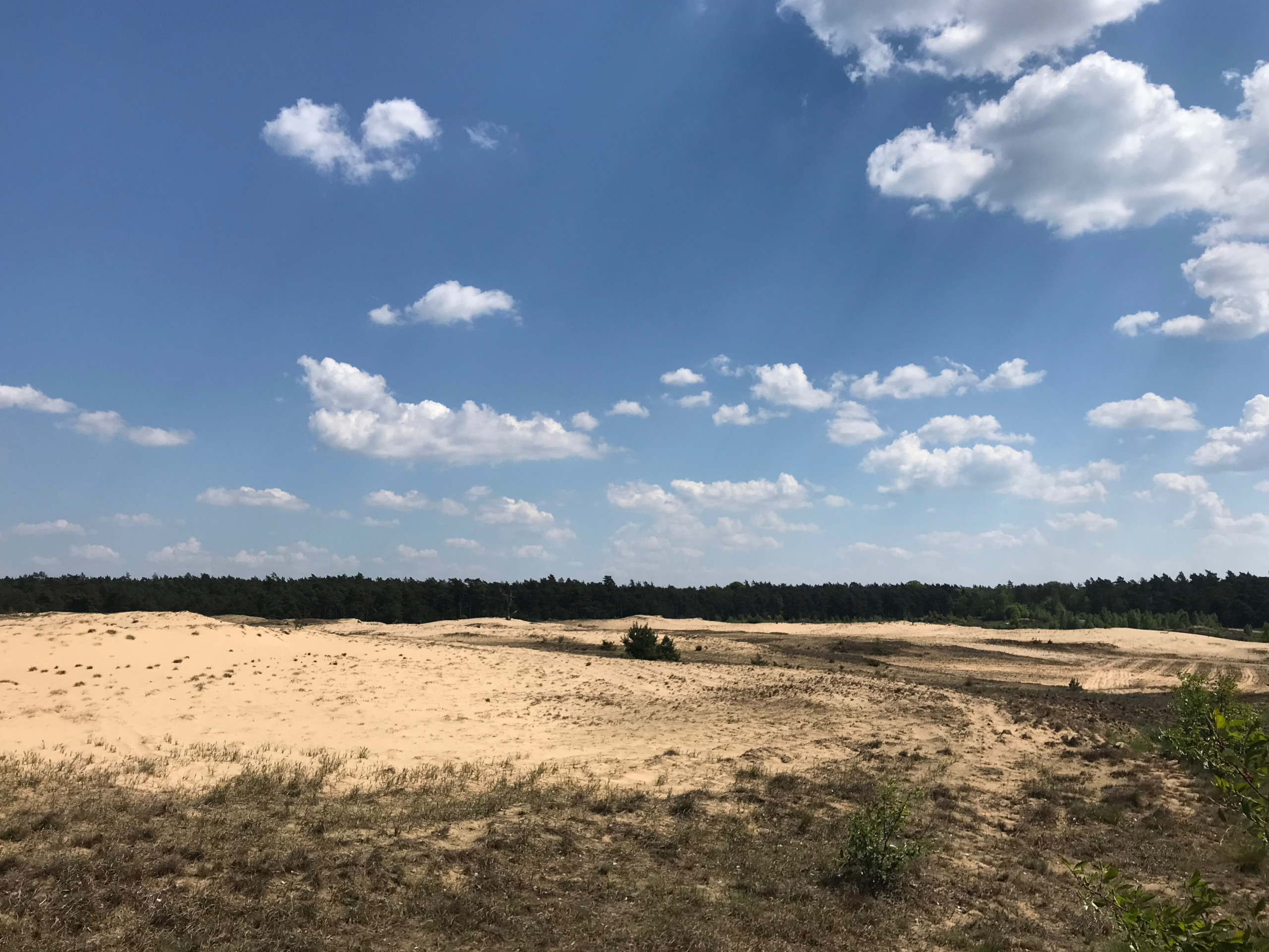 A bit dry when you look right ...