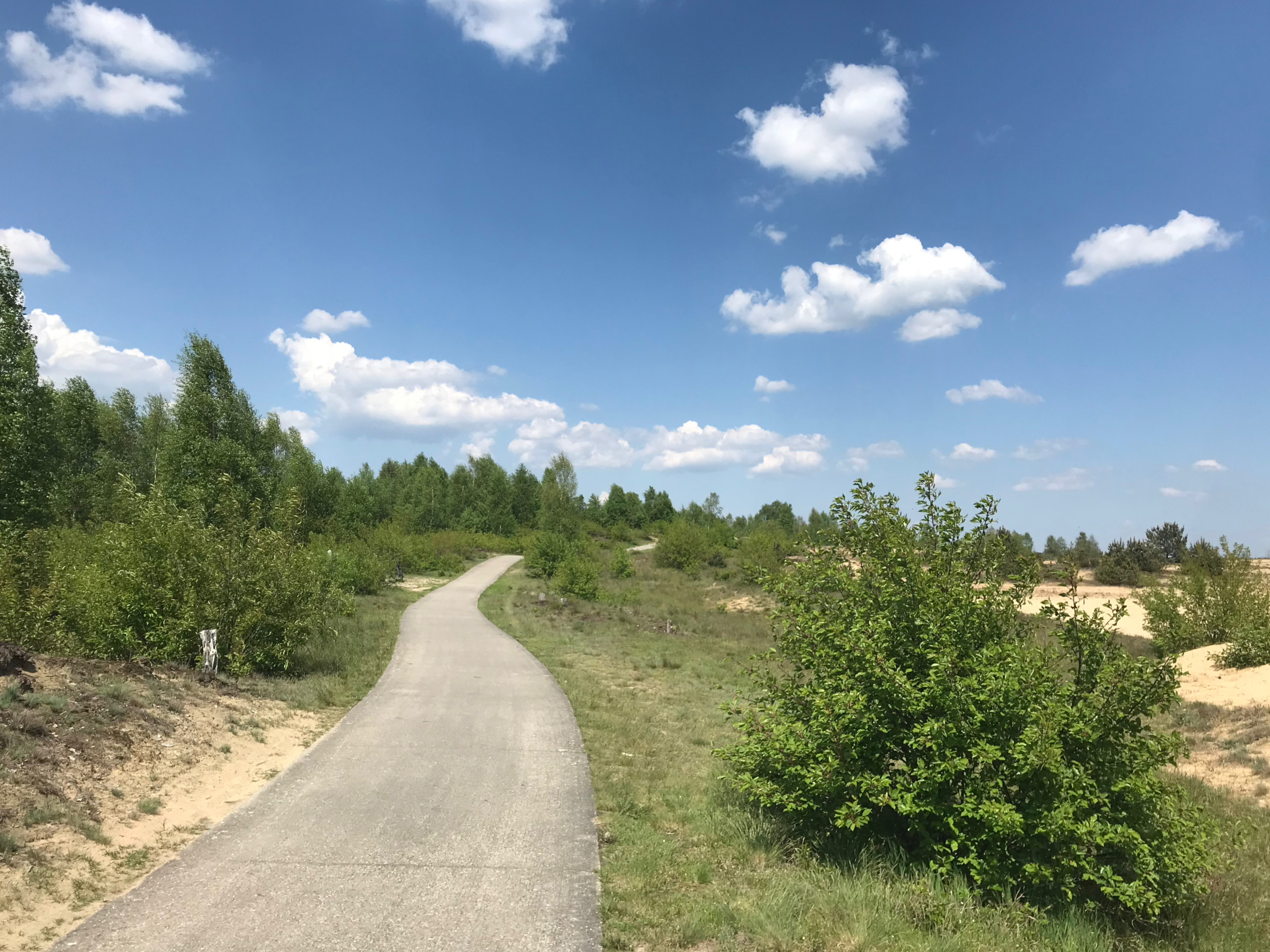 ... but not in front.