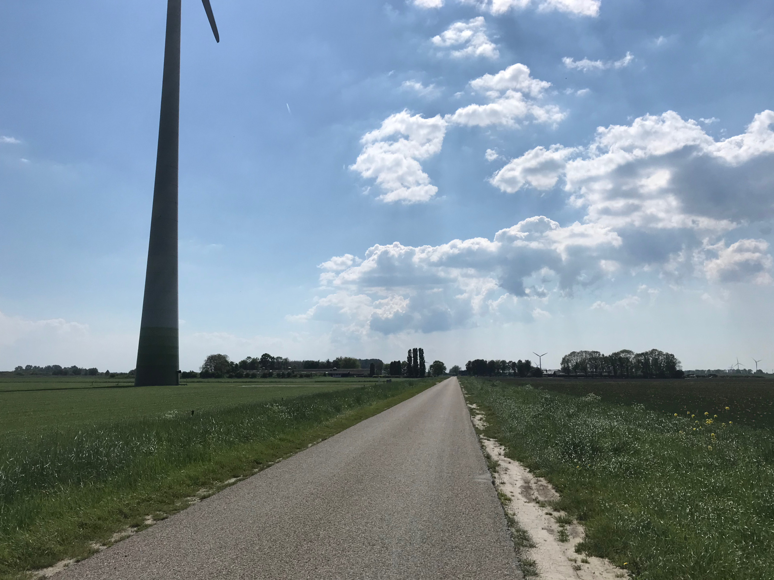 On one of the many straight roads in the Flevopolder.
