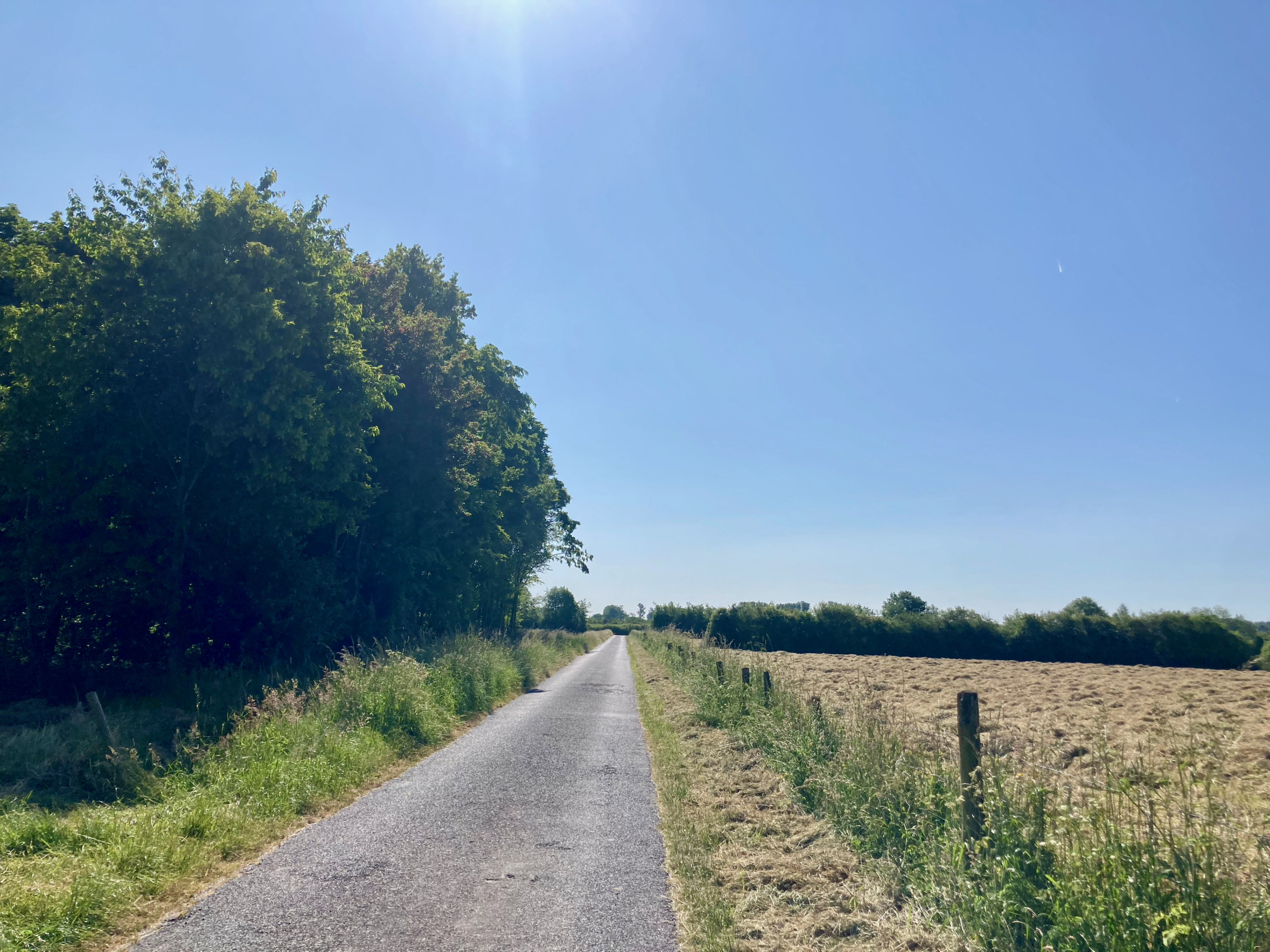 The fields east of Wyler (south-east).