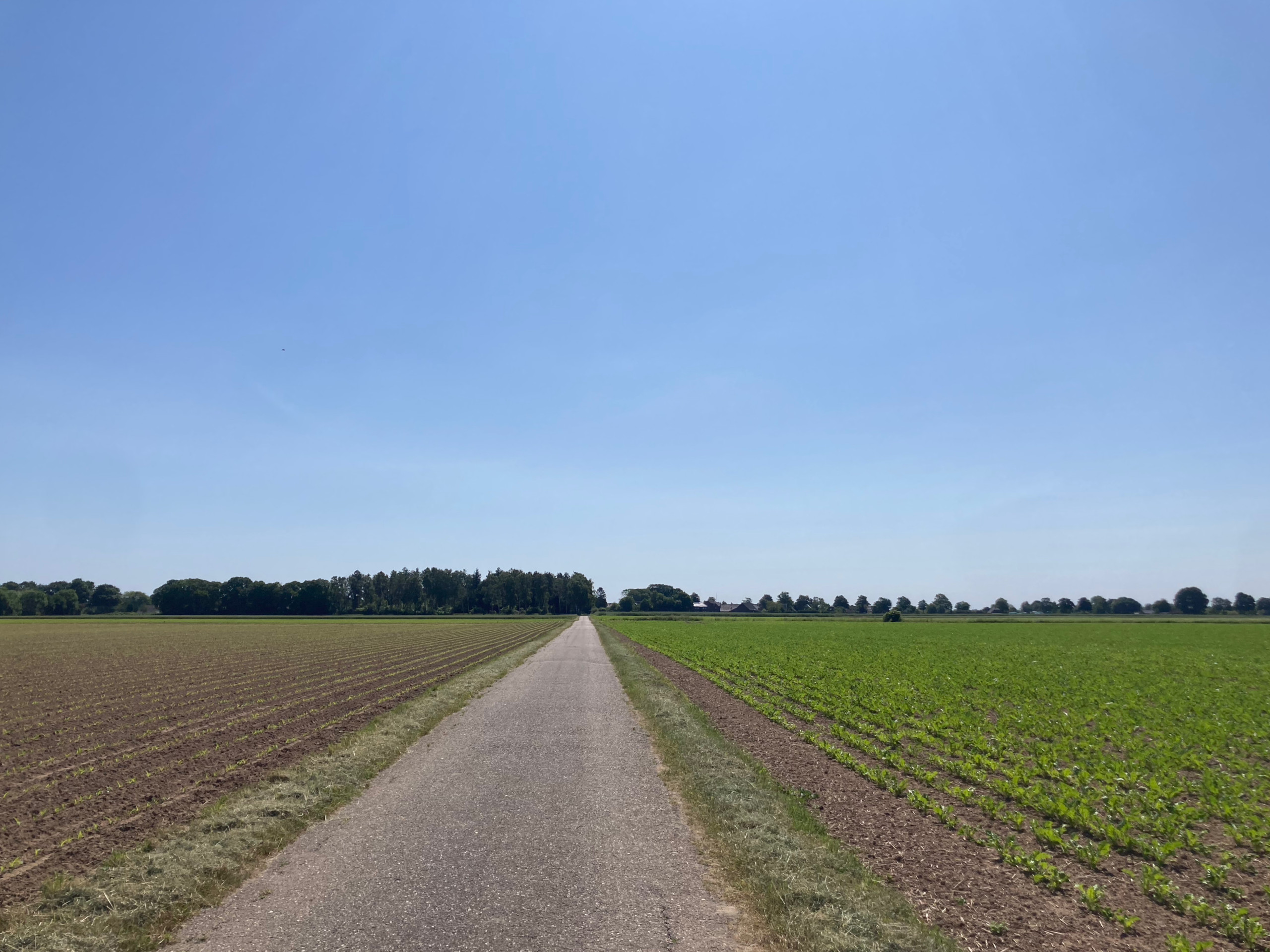 On the Greilack heading for Obermörmter.