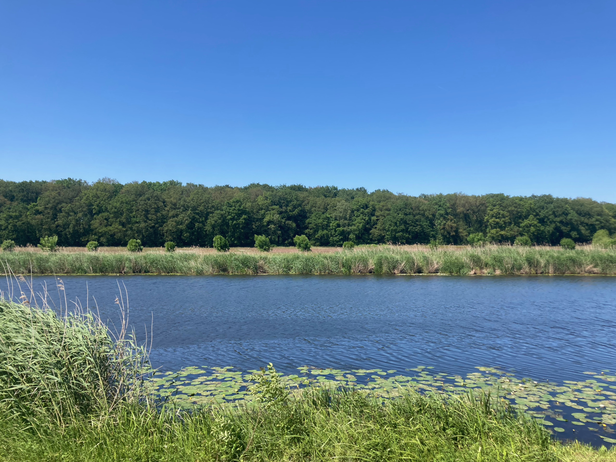 The Oude IJssel south of Hoog-Keppel.