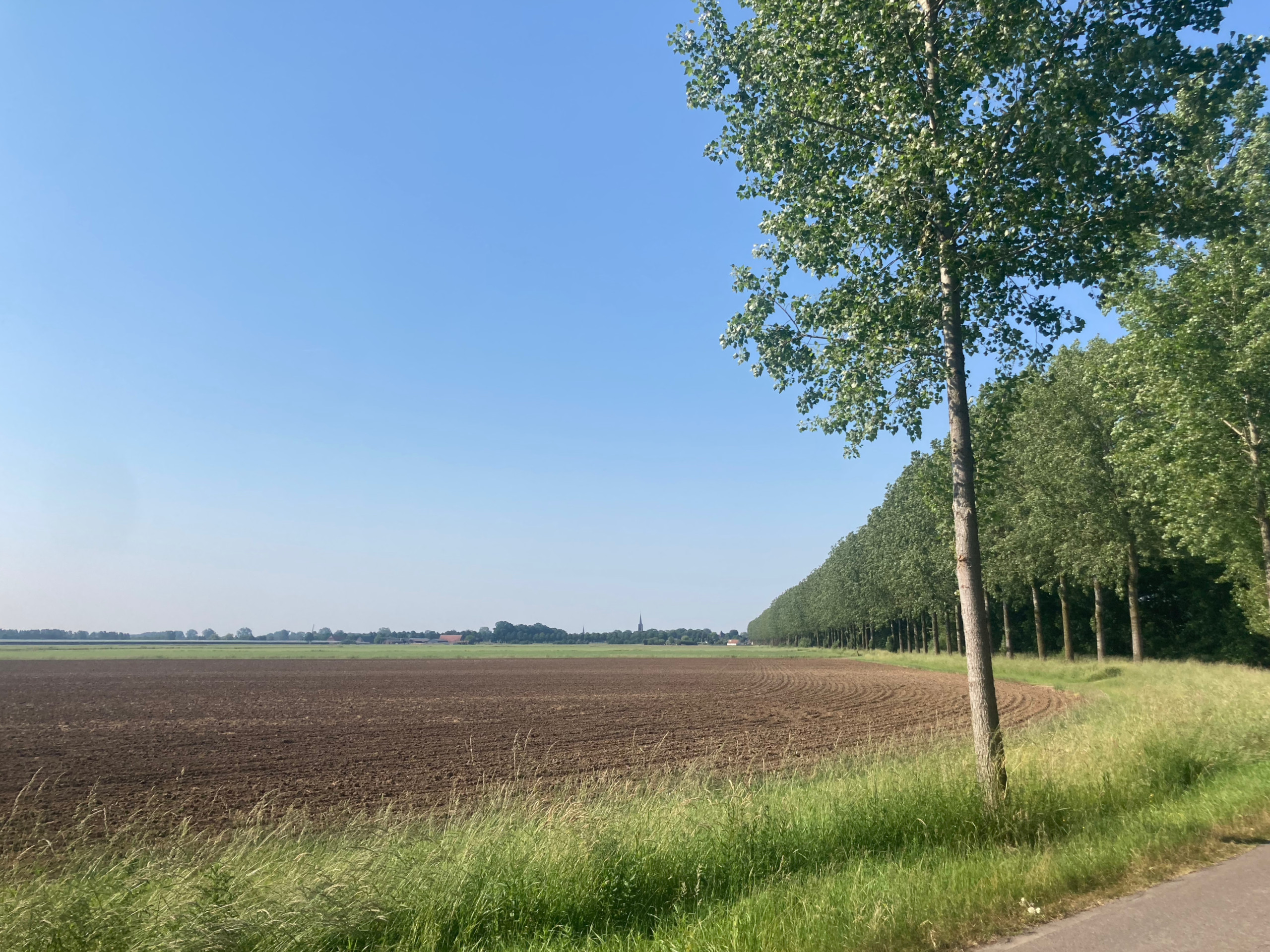 In the distance: the church tower of Batenburg.