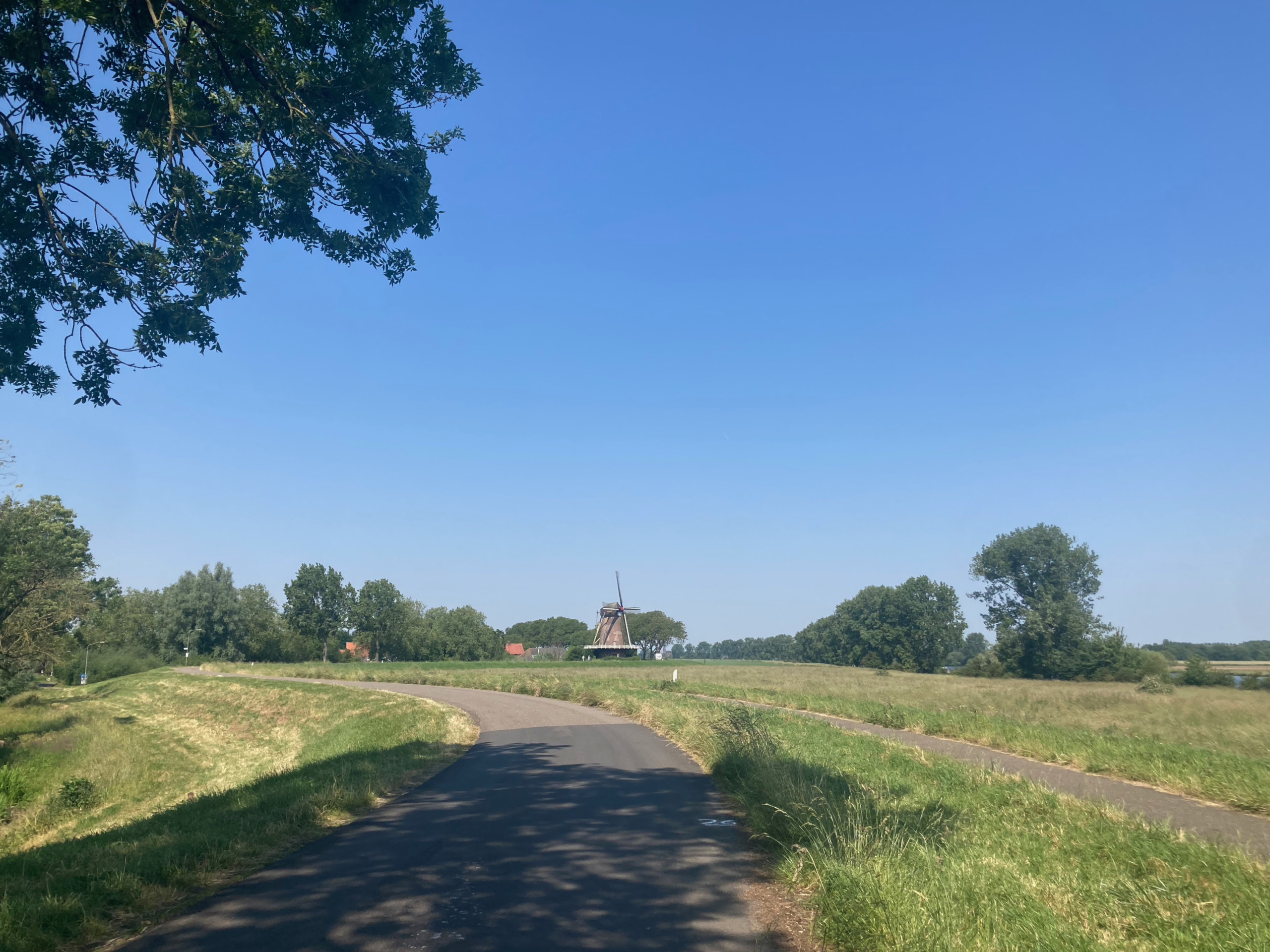 The Maasdijk near Demen.