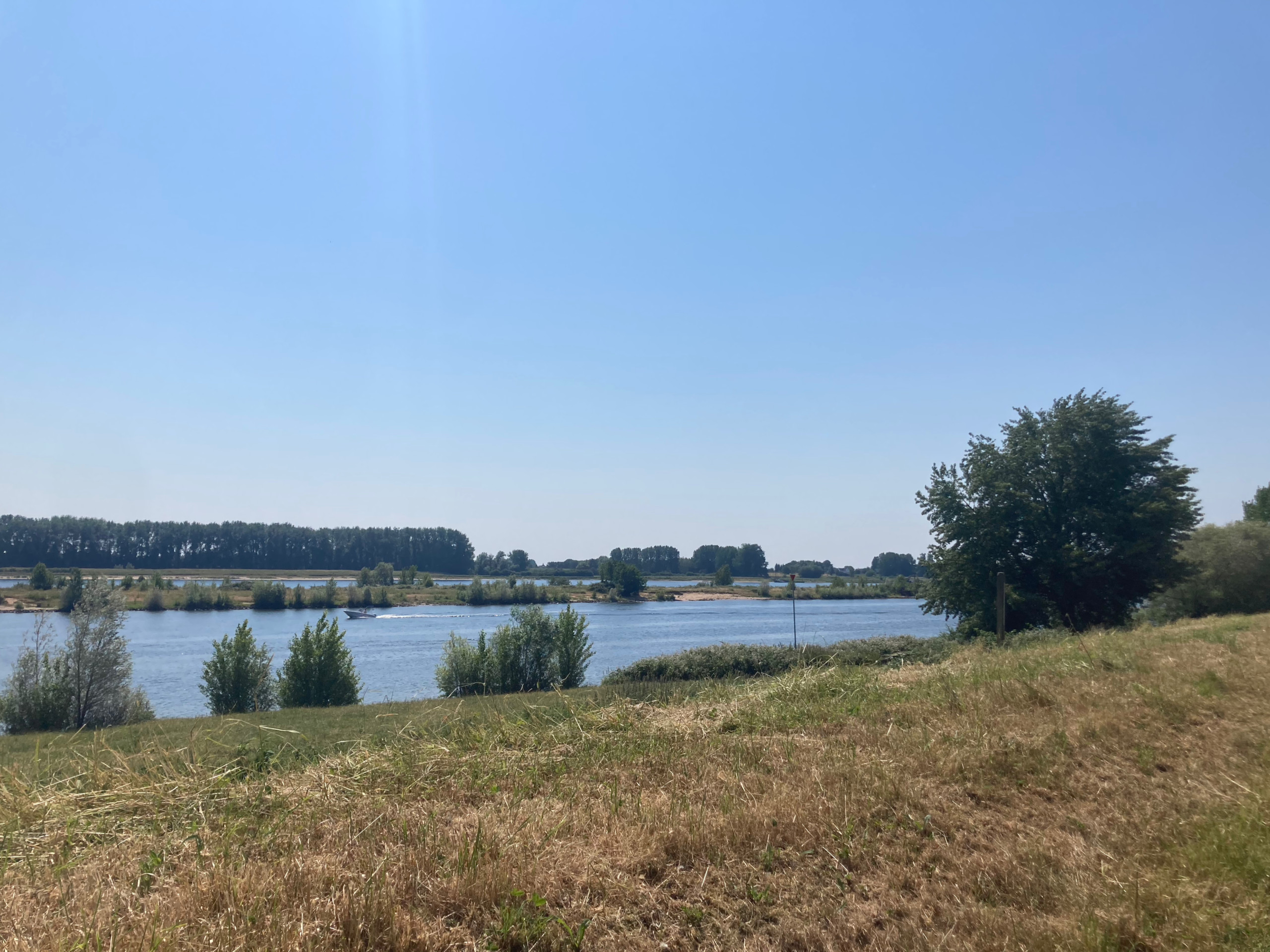 The Maas near Sint Andries.
