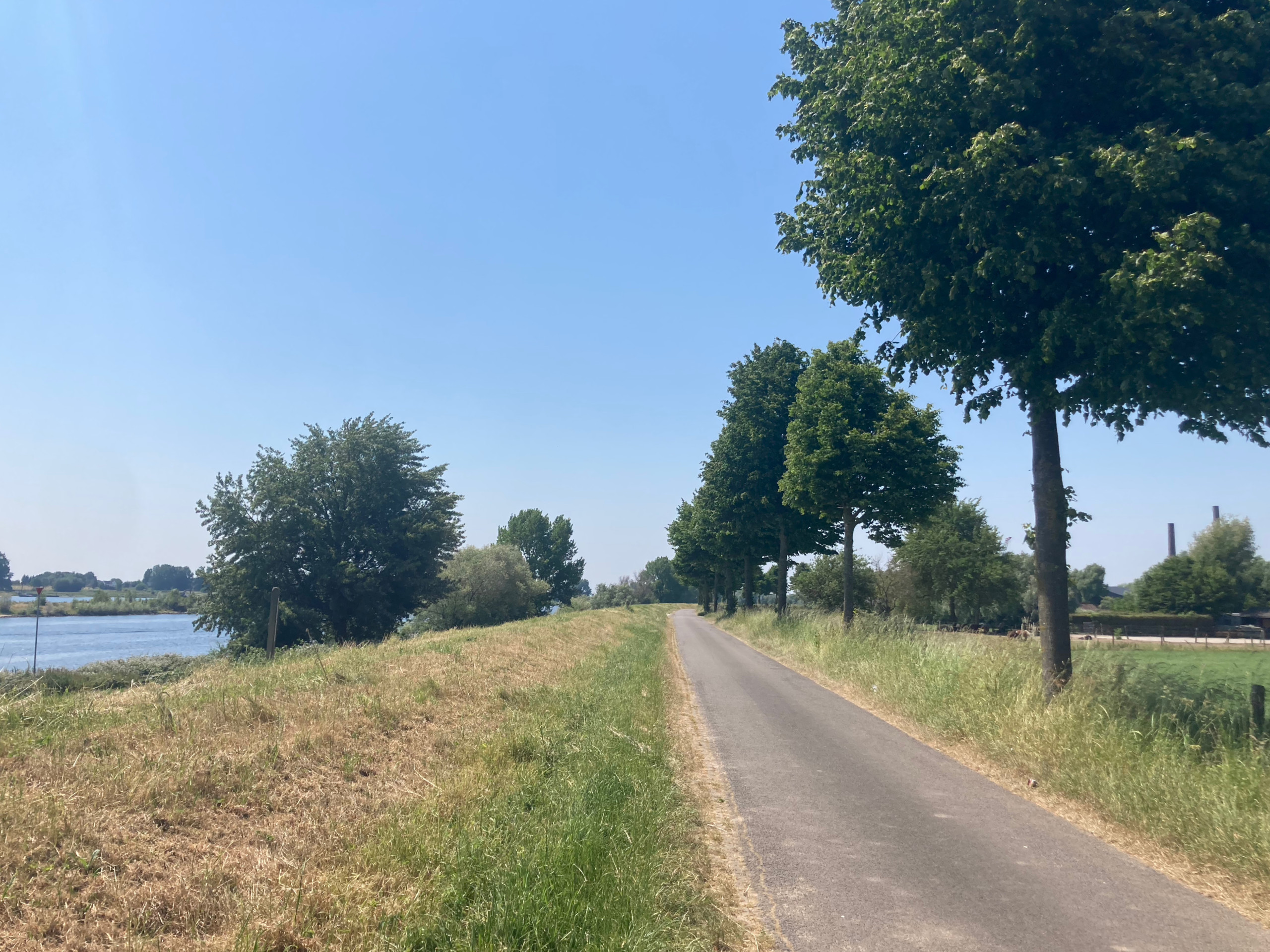 The Maasdijk near Sint Andries.