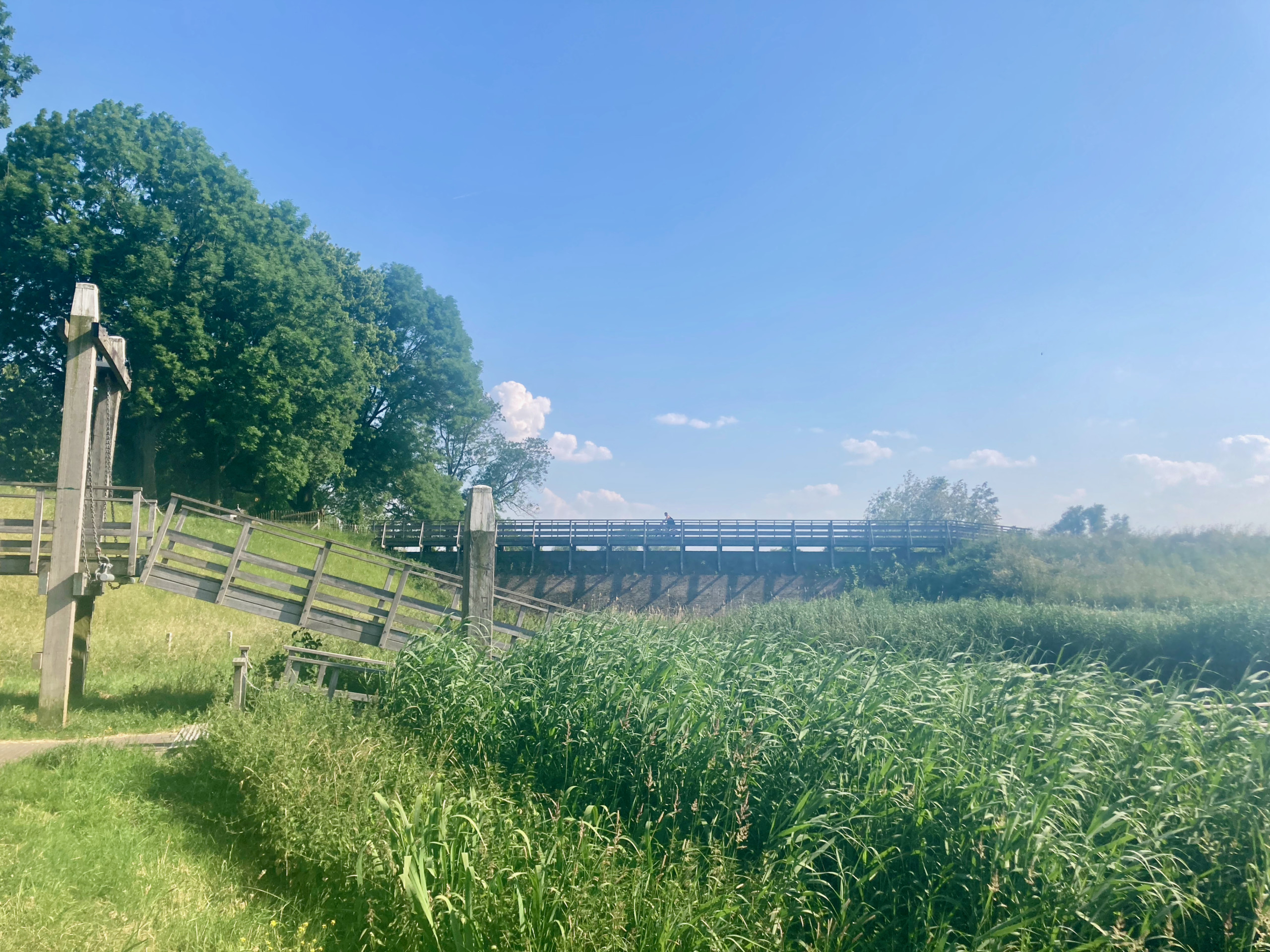 A wooden bridge across the Westbeer in Woudrichem.