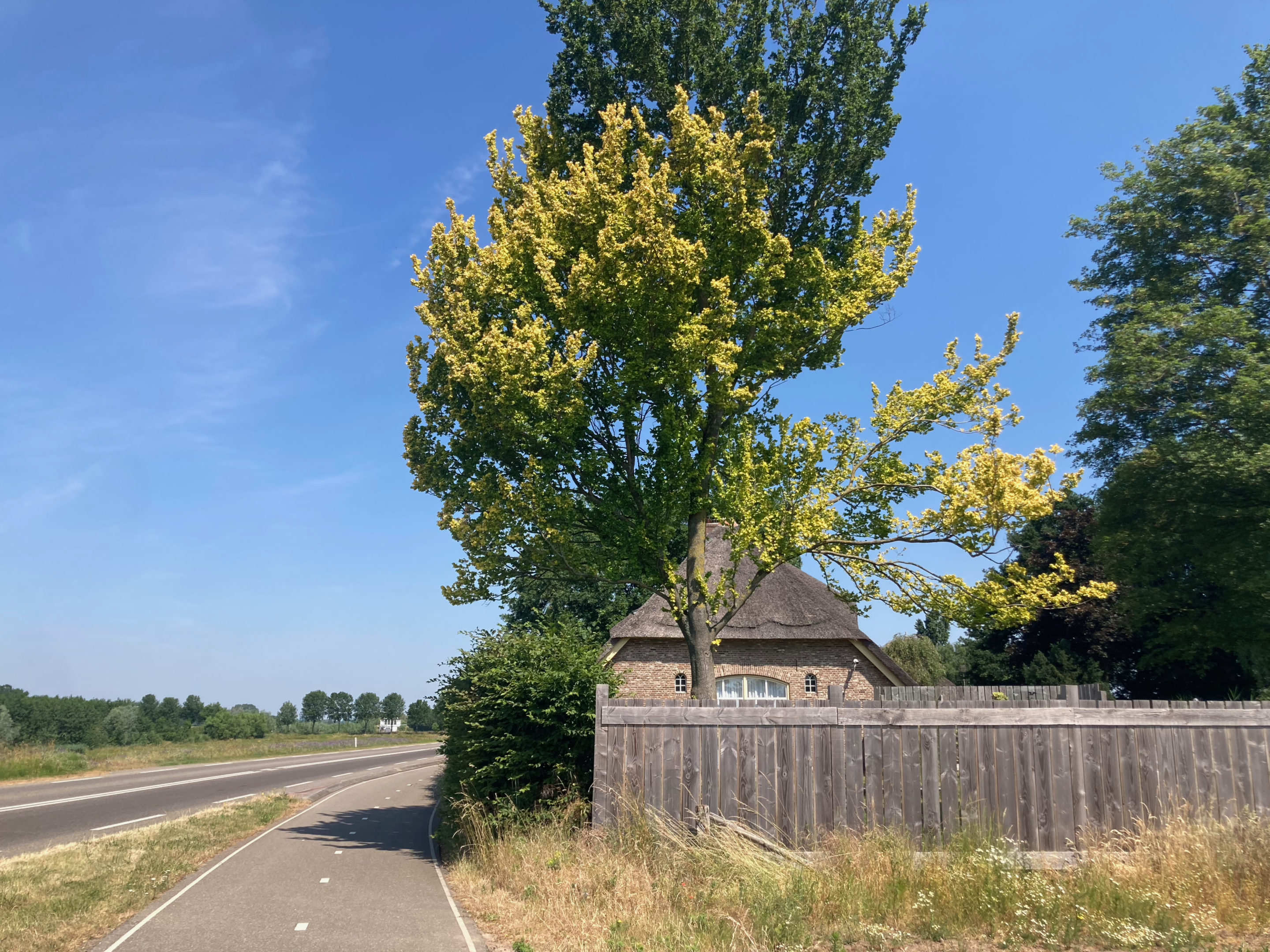 Along the road between Baak and Zutphen.