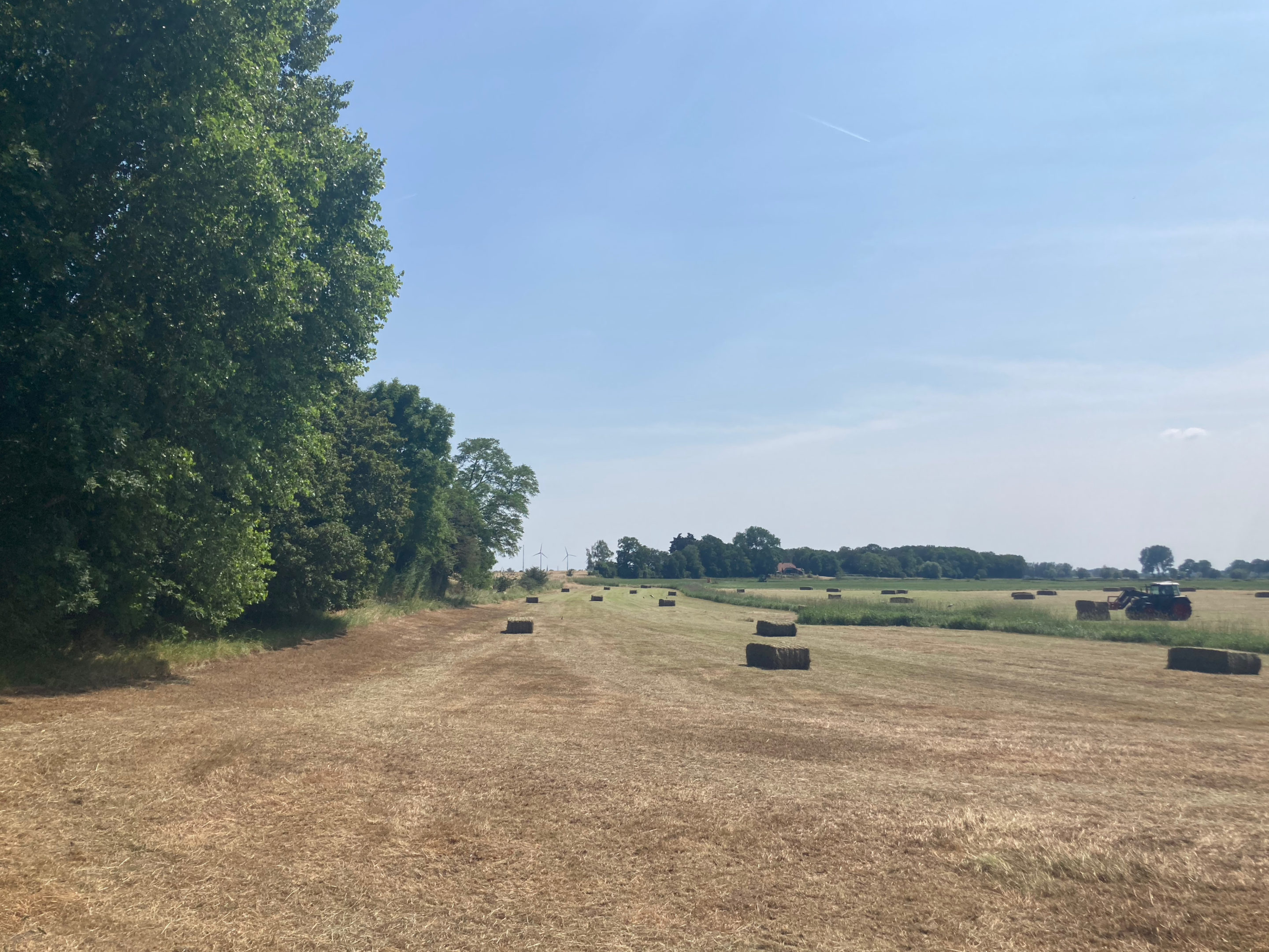 A perfect playing ground for a farmer with OCD.