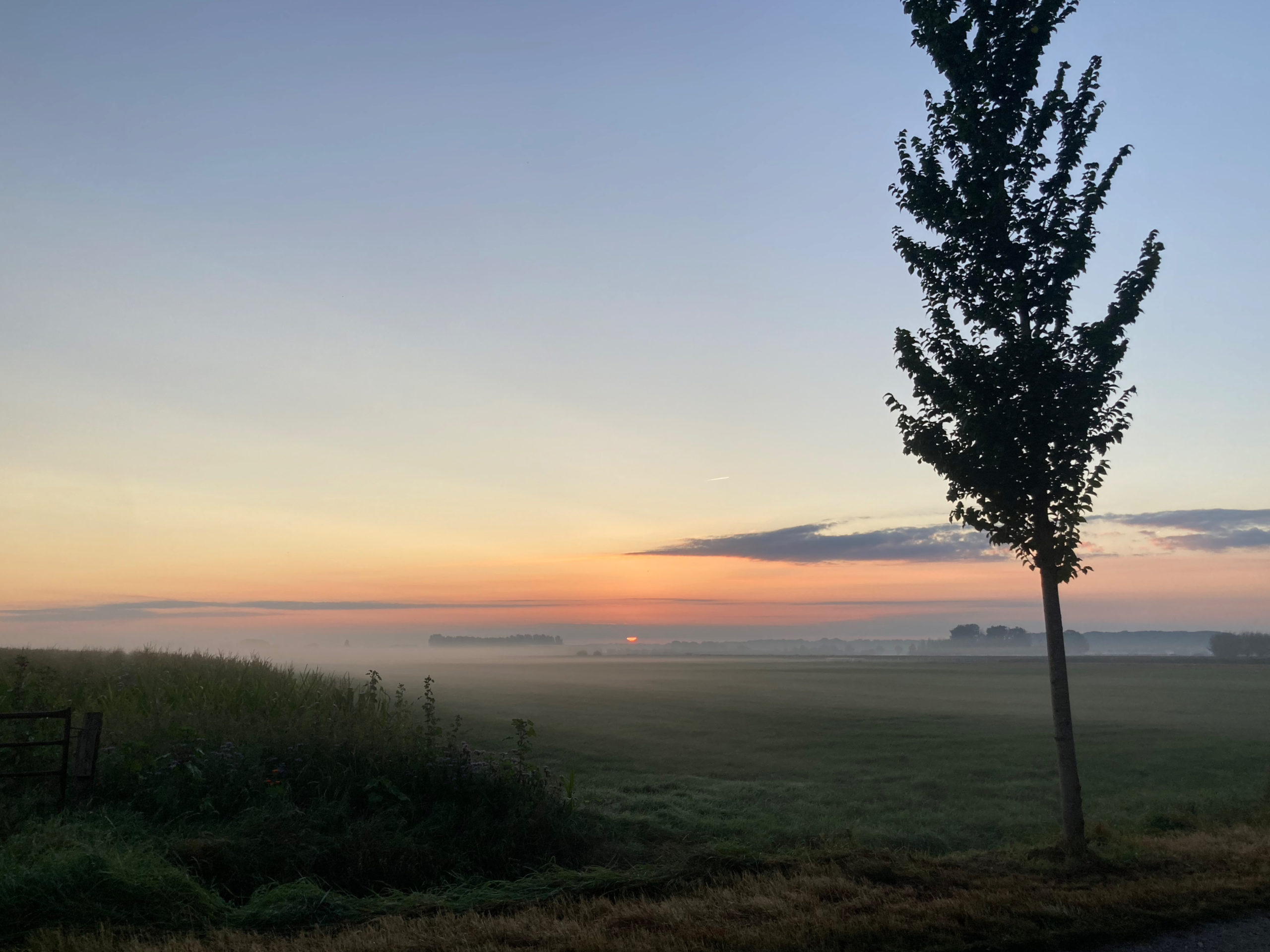 Achterdijk, Werkhoven 2023-09-16