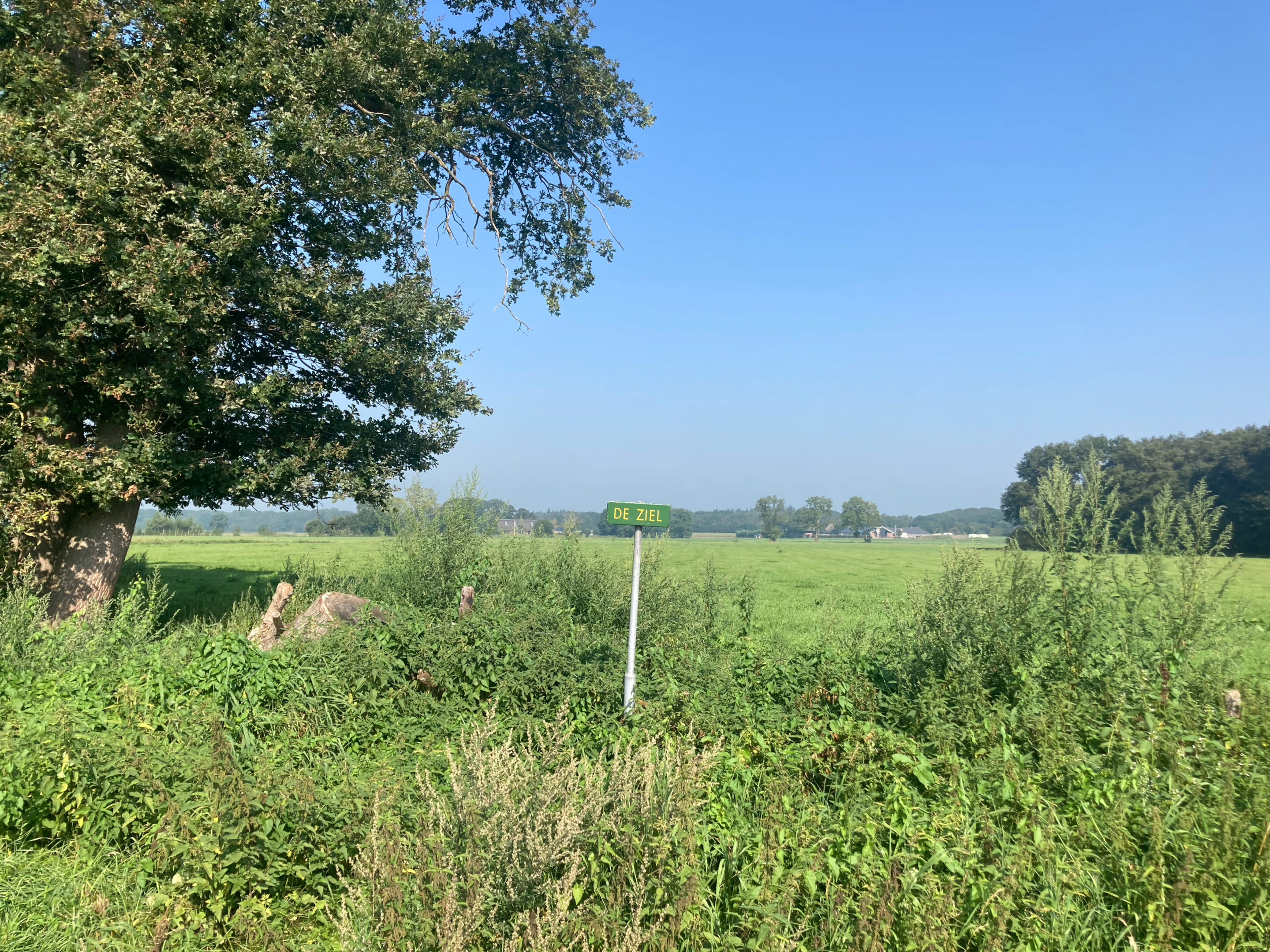 I landed on a road named ’Ziel’ (soul).