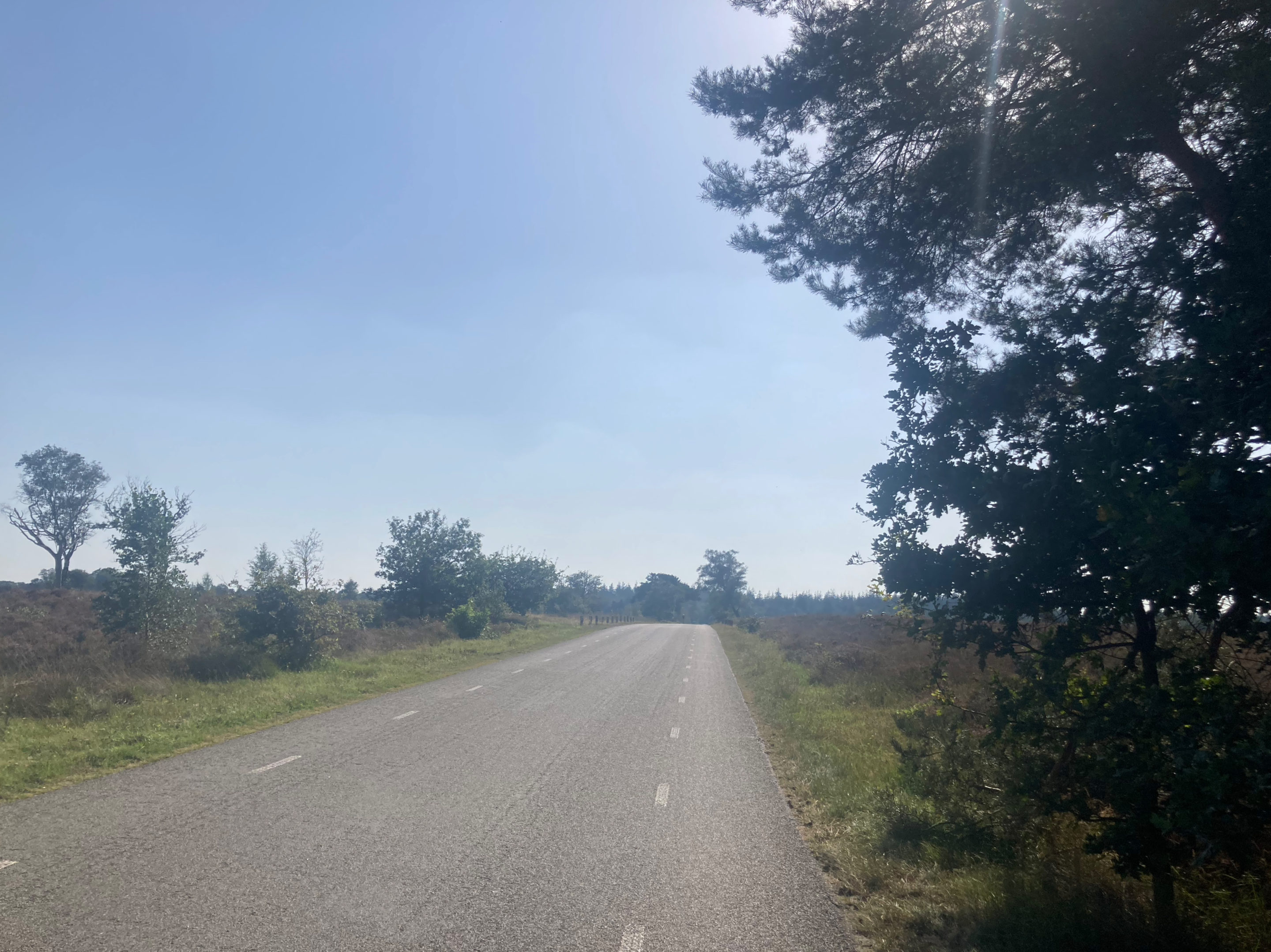 The Elspeterbosweg between Vierhouten and Elspeet.